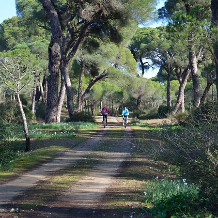 Sanlucarsun Apartamento Frente Al Mar Sanlucar de Barrameda Ngoại thất bức ảnh