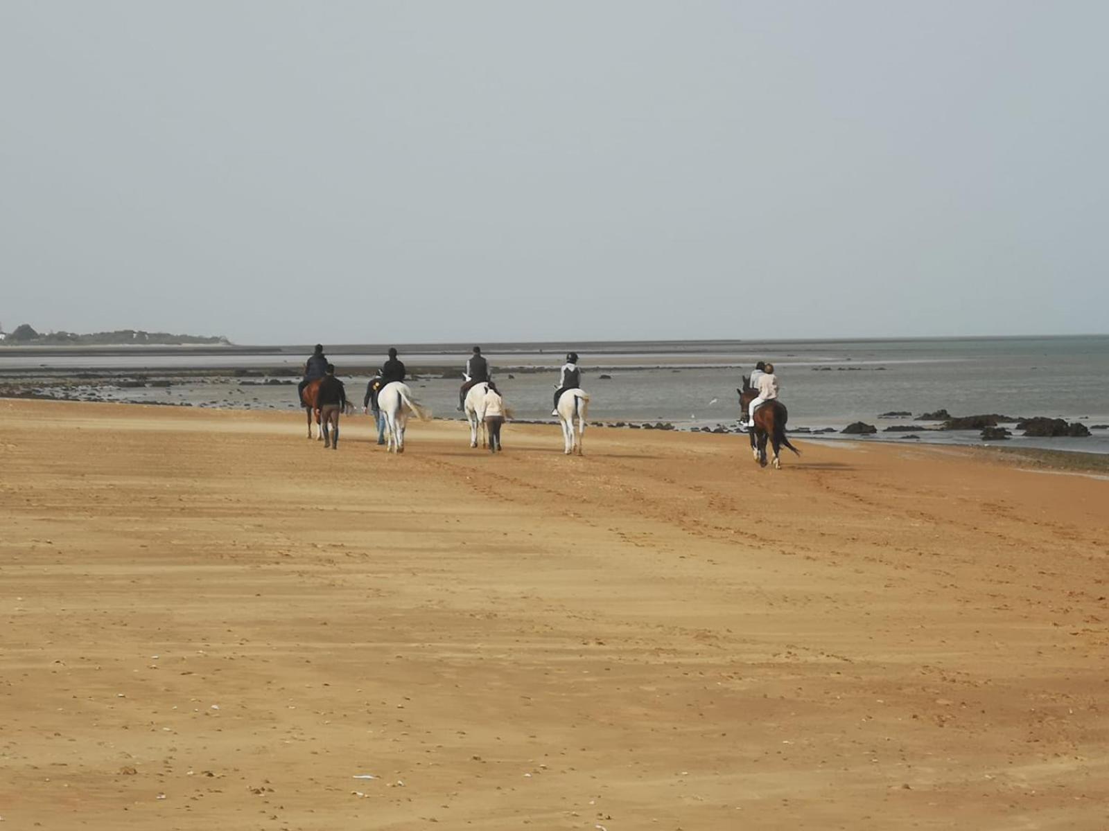 Sanlucarsun Apartamento Frente Al Mar Sanlucar de Barrameda Ngoại thất bức ảnh